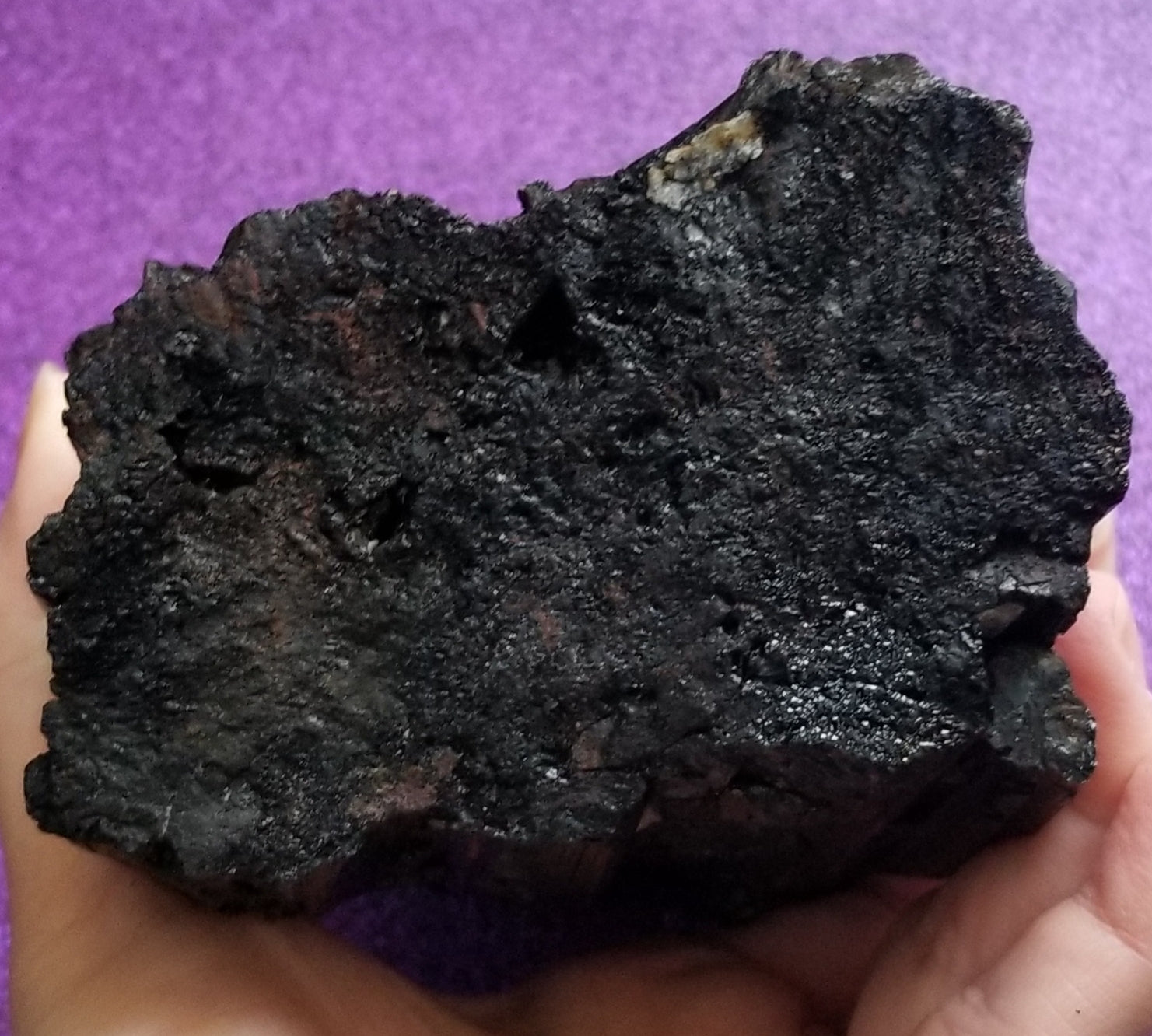 Black Tourmaline (D)